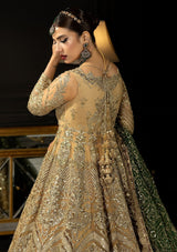 GOLD EMBELISH WITH SEQUENCE