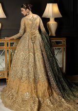 GOLD EMBELISH WITH SEQUENCE