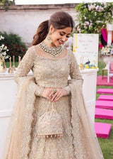 Champagne Beige Embroidered