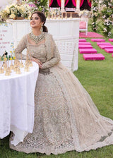 Champagne Beige Embroidered
