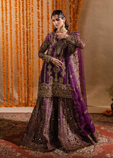 Deep Plum Purple