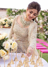 Champagne  Beige  Embroidered