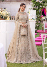 Champagne  Beige  Embroidered